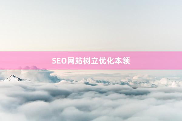 SEO网站树立优化本领